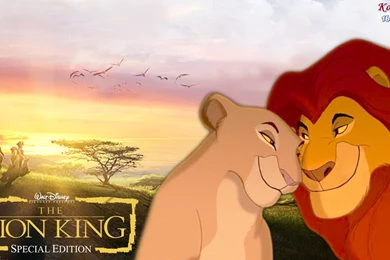 The Lion King   KingSimba4Ever9 Wallpapers (31415008)   Fanpop