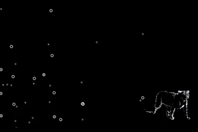 Computer Wallpaper: Panther By Cheetahsintheearth On DeviantArt