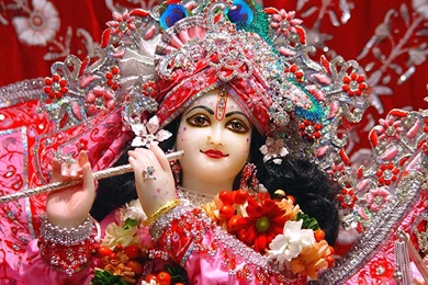 Cute Lord Krishna Pink Dress HD Wallpapers