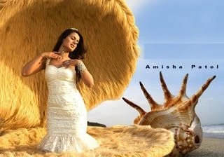 Latest Wallpaper: Amisha Patel Wallpapers