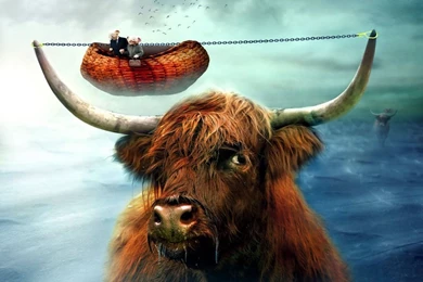 Bull Wallpapers   Powerful Bull Wallpapers Gallery