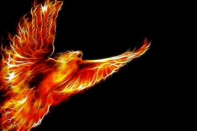 Free Wallpapers   Powerful Phoenix In Fire 1440x900 Wallpapers