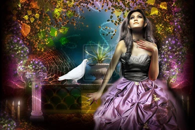 COLOMBANIA OF EMOTIONAL WALLPAPER   (