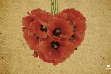 Freebie Friday: Desktop WallpaperTruly Engaging Wedding Blog