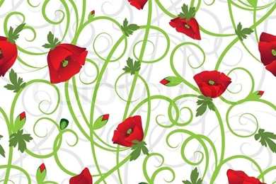 Poppy Backgrounds