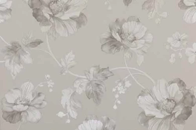 Jane Churchill Superstar Wallpapers Pink