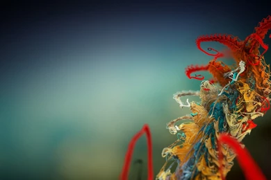 HD Wallpapers Download For PC   Newwallpapershits.com