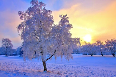 Winter Sunset Desktop Wallpapers   , New Wallpapers, New Wallpapers