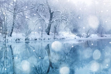Winter Snowfall Mac Wallpapers Download Free Mac Wallpapers ...