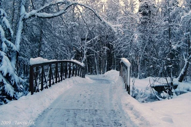 Winter Wallpapers 9   Best Wallpapers Collection