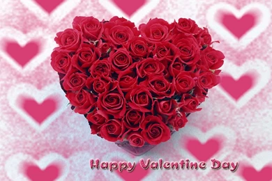 Raghubar's Life: [Hindi_Jokes] Valentine's Day Wallpapers