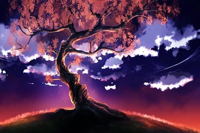 Woody Land Live Wallpapers By Love Artists On DeviantArt