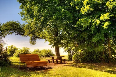 Dream Summer 2012   A Sunny Day Wallpapers   HD Wallpapers 96320