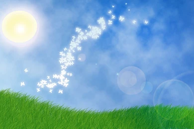 Sunny Day Wallpapers