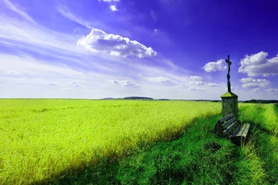 Beautiful Spring Landscape Wallpapers Widescree