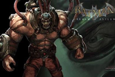 Batman: Arkham Asylum, Bane, Games, 1920x1200 HD Wallpapers And ...
