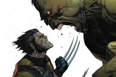 HULK Vs WOLVERINE : Wallpapers