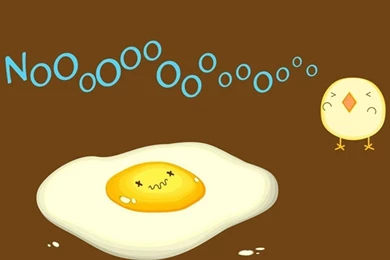 Funny Chicken Egg No iPhone 6 Wallpapers Download