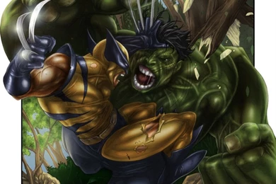 Hulk Vs Wolverine By MrWills On DeviantArt