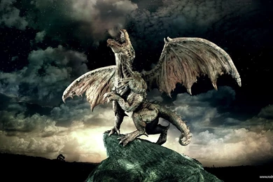 Dragon 3D Computer Wallpapers 10375   Amazing Wallpaperz