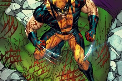 Hulk Vs Wolverine By TeoGonzalezColors On DeviantArt