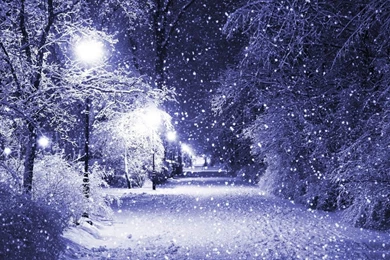 Winter Wonderland Desktop Wallpaper, Winter Wonderland Backgrounds ...