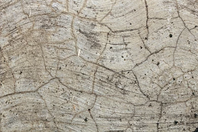 Concrete Wall With Tiny Cracks For Website Backgrounds And ...