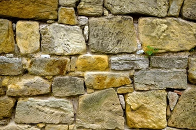 Free Web Background Images   All Wallpapers New