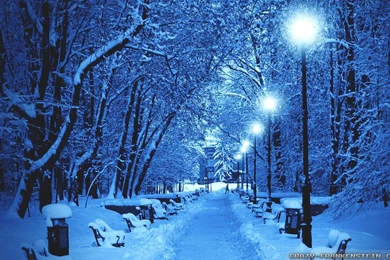 Winter Park Wallpapers   Crazy Frankenstein