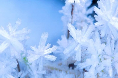 Free Wallpapers Winter Scenes