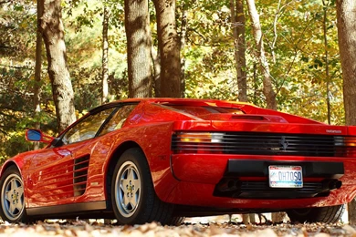 Download Wallpapers Ferrari Testarossa In The Wood (1920 X 1080 ...