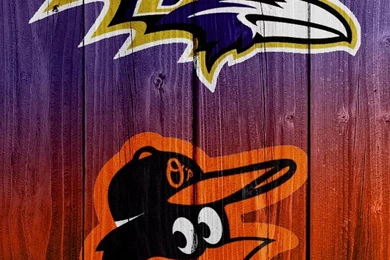 Orioles Ravens Backgrounds I... iPhone Wood Wallpapers Photo Album ...