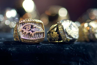 Baltimore Ravens   Wikipedia, The Free Encyclopedia