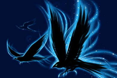 Ravens Wallpapers  detail  By Aerin Kayne On DeviantArt