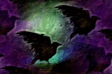 Raven Pattern Experiment : PamMarin Kingsley.com