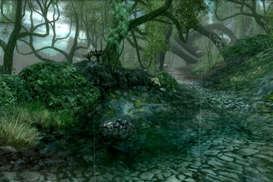 The Elder Scrolls Iv Oblivion Mushrooms Video Games