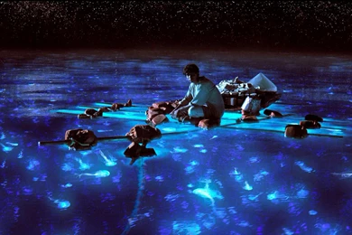 Cinematographer Claudio Miranda On Oblivion And Life Of Pi ...