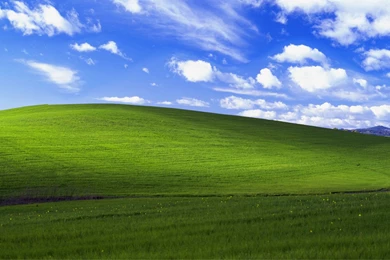 Gallery For   Funny Windows Xp Bliss Wallpapers