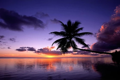 Tropical Island Paradise Sunset   Wallpaper.