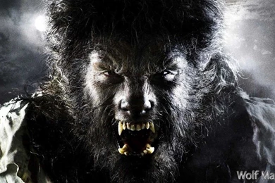 Van Helsing Werewolf Wallpapers   Wallpapers Cave