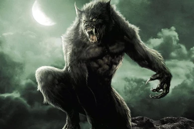 Van Helsing   Flikie Wallpapers