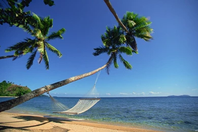 Tropical Beach Hammock   Wallpaper.