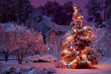 Christmas lights HD wallpapers