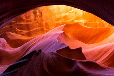 Japanese Maple National Geographic HD Wallpapers   IHD Wallpapers