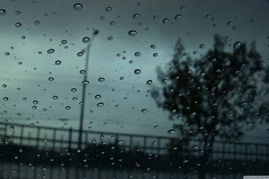 Autumn Raindrops Wallpapers