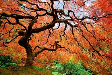 Travel 365: Most Popular Photos Of November 2013    National ...