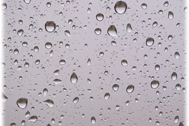 Raindrop Backgrounds   Wallpapers Cave