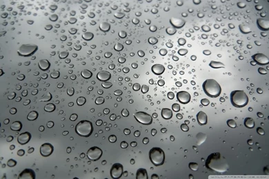 Raindrop HD Desktop Wallpapers : Widescreen : High Definition : Mobile