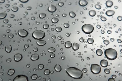 Raindrop HD Desktop Wallpapers : Widescreen : High Definition : Mobile