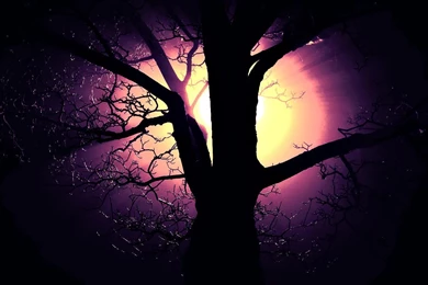 Light Of The Hunters Moon